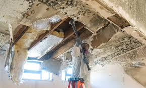 Best Environmental Consulting for Mold Prevention in Whitemarsh Island, GA